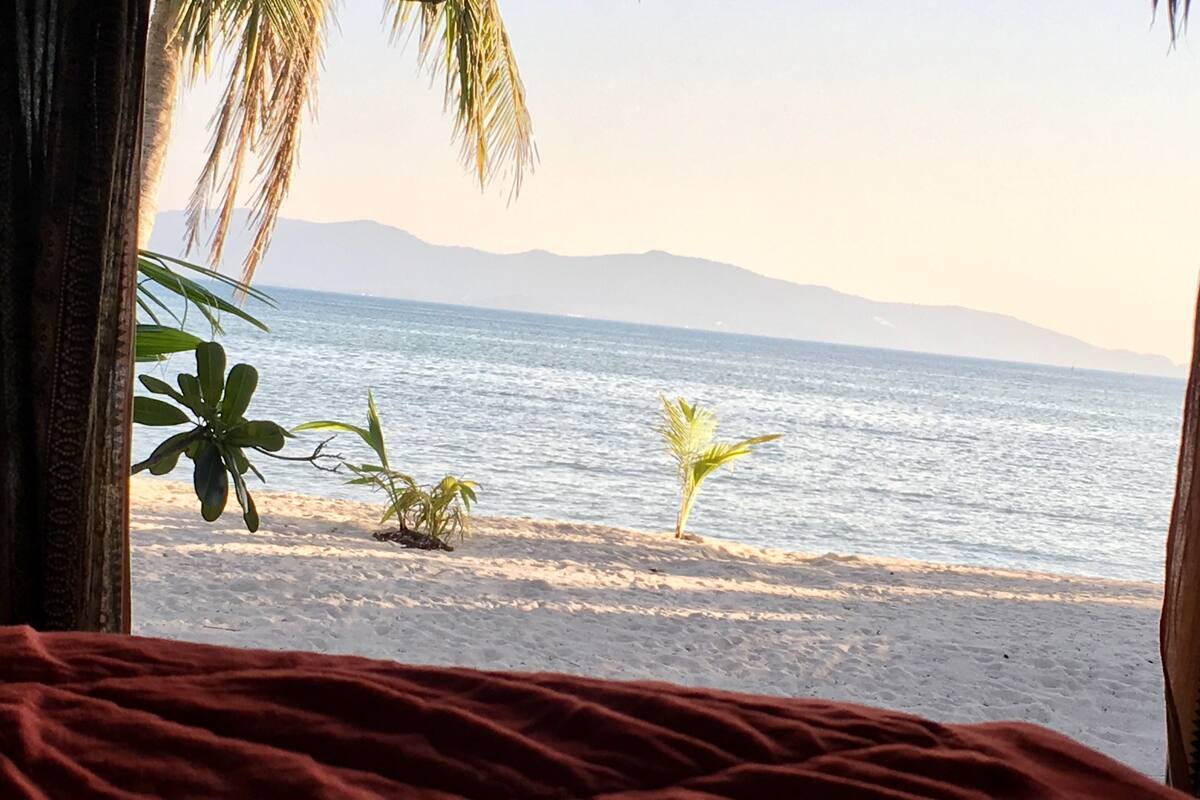 Blick auf einen Strand mit Palmen und einem Bett mit roter Decke.