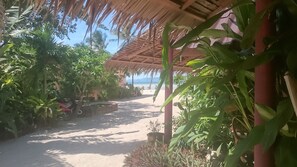 Property grounds - Papillon Bungalows (Ko Pha-ngan)