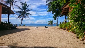 A beach with two dogs lying on the sand, surrounded by palm trees and a clear sky. - Papillon Bungalows (Ko Pha-ngan)
