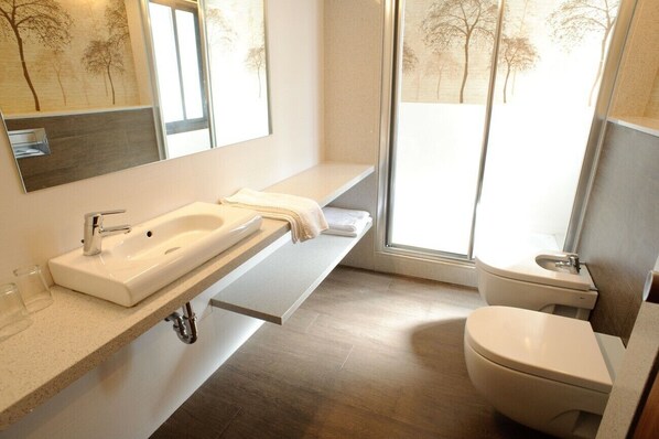 Hair dryer, bidet, towels