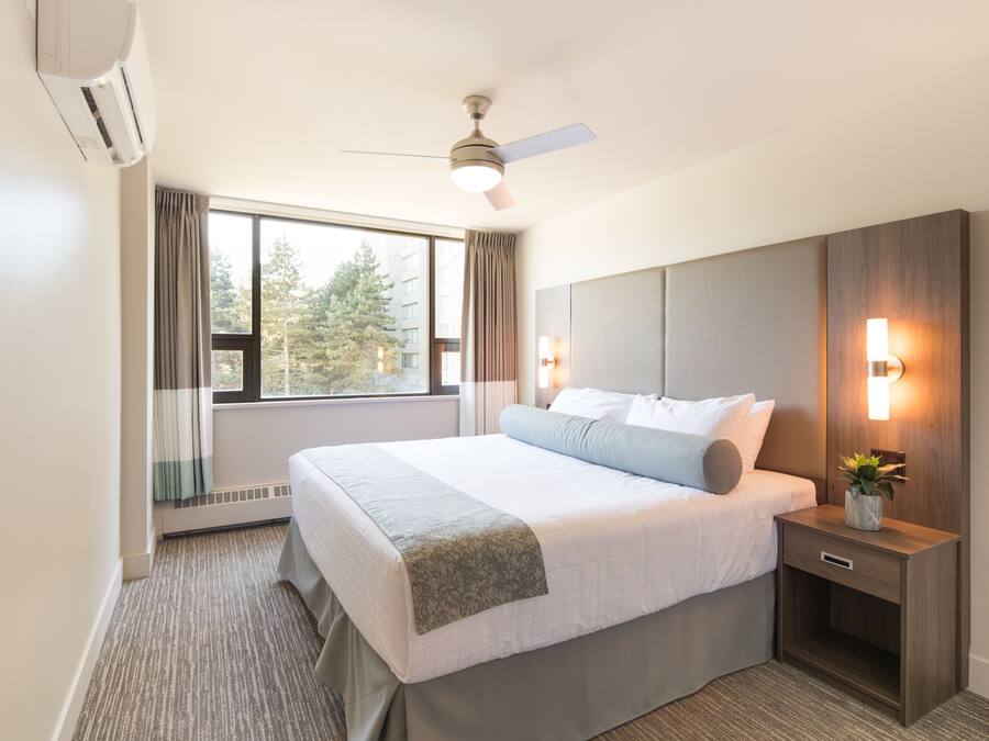 Suite, 1 Schlafzimmer
