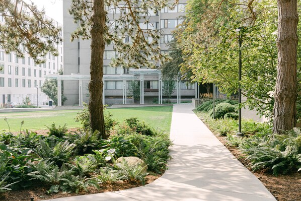 Un sendero bordeado por árboles y helechos que conduce a un edificio moderno con fachada de vidrio.