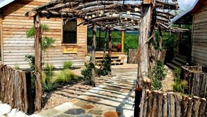 A rustic wooden cabin with a stone pathway leading to a wooden porch supported by logs. - Hideout on the Horseshoe (New Braunfels)