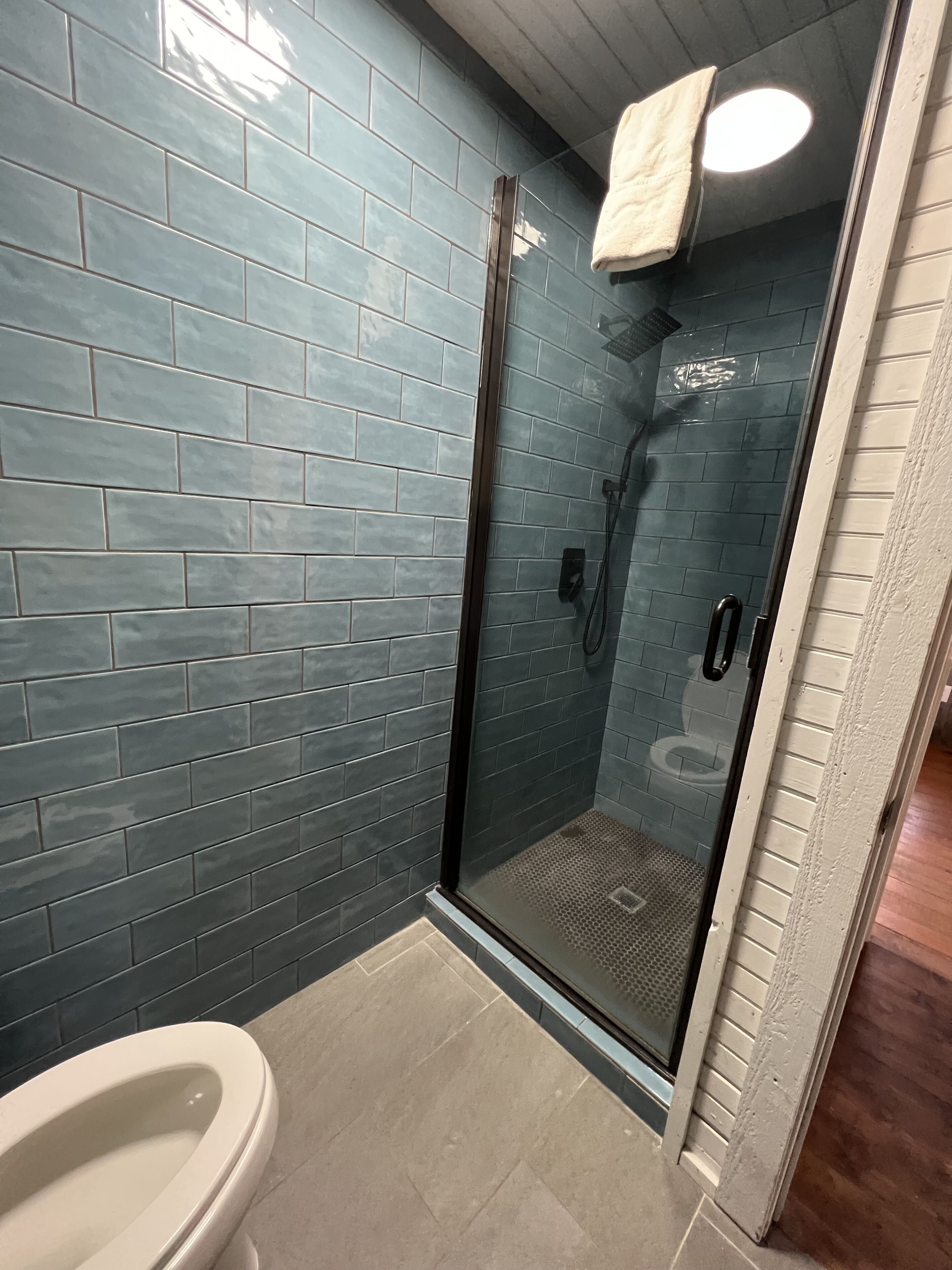 shower, free toiletries, hair dryer, towels