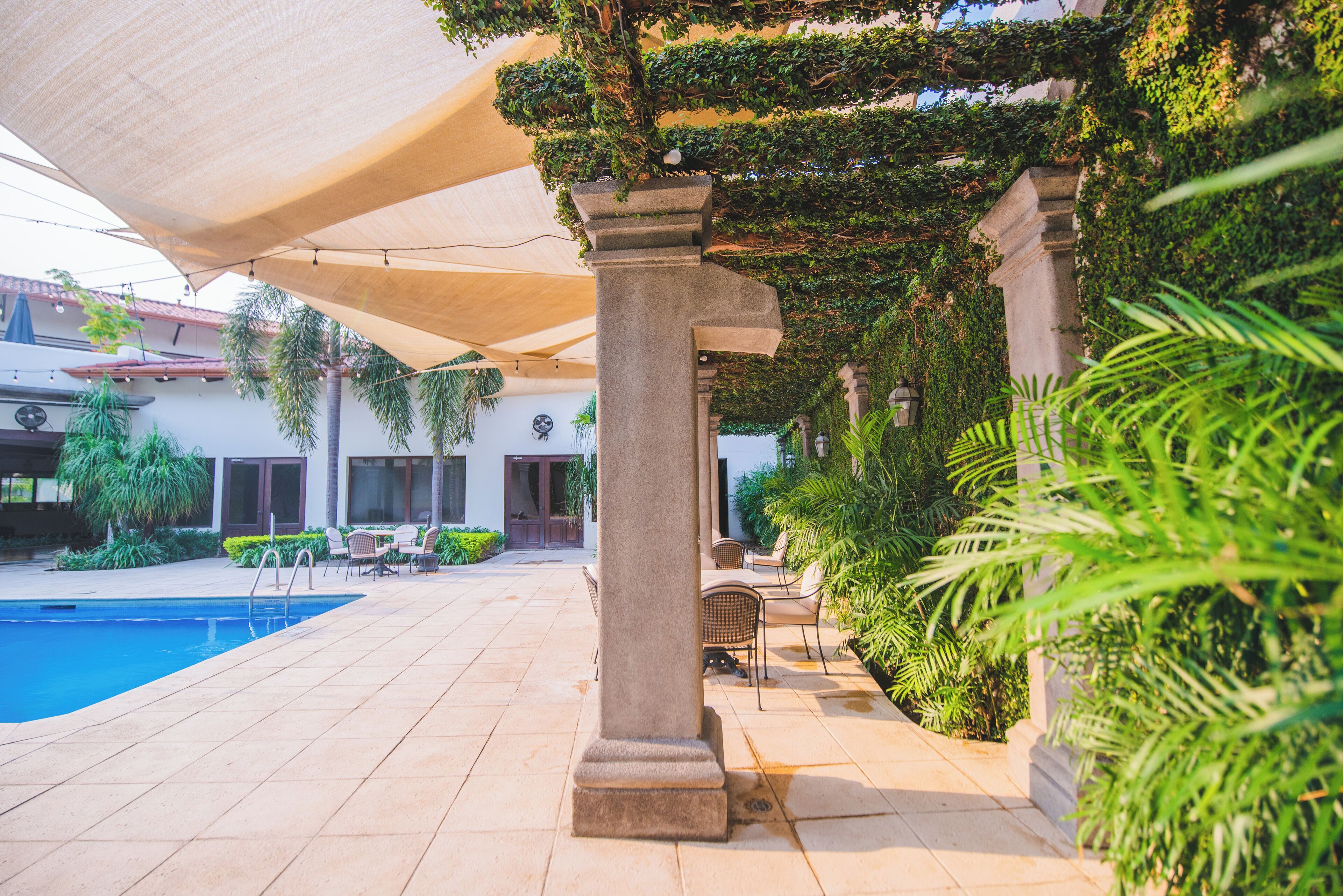 outdoor pool, pool loungers