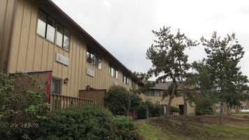 A multi-story building with a flat roof, large windows, and a small front garden with a tree and shrubs.