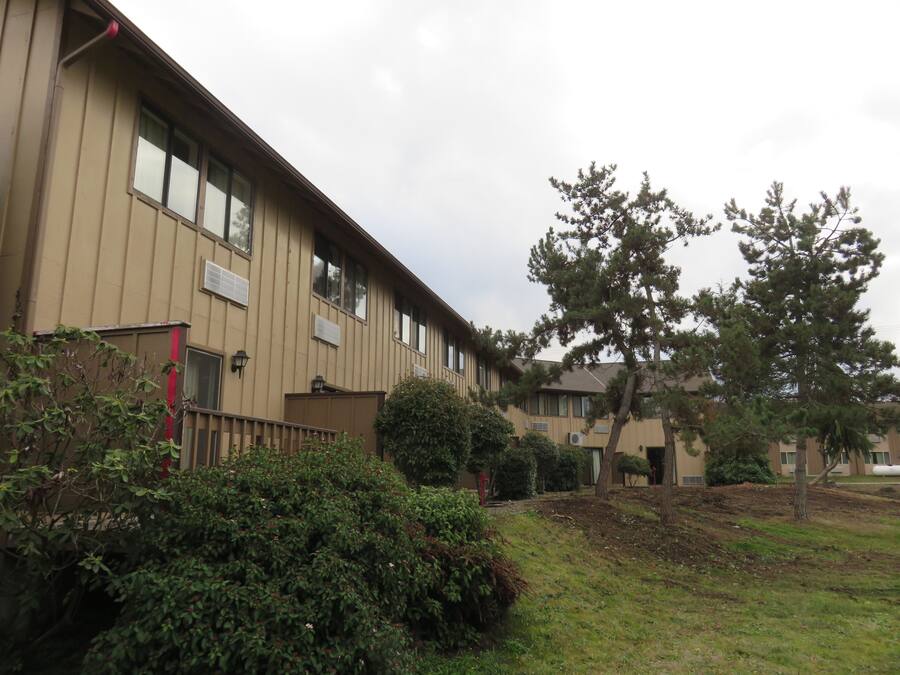 A multi-story building with a flat roof, large windows, and a small front garden with a tree and shrubs.