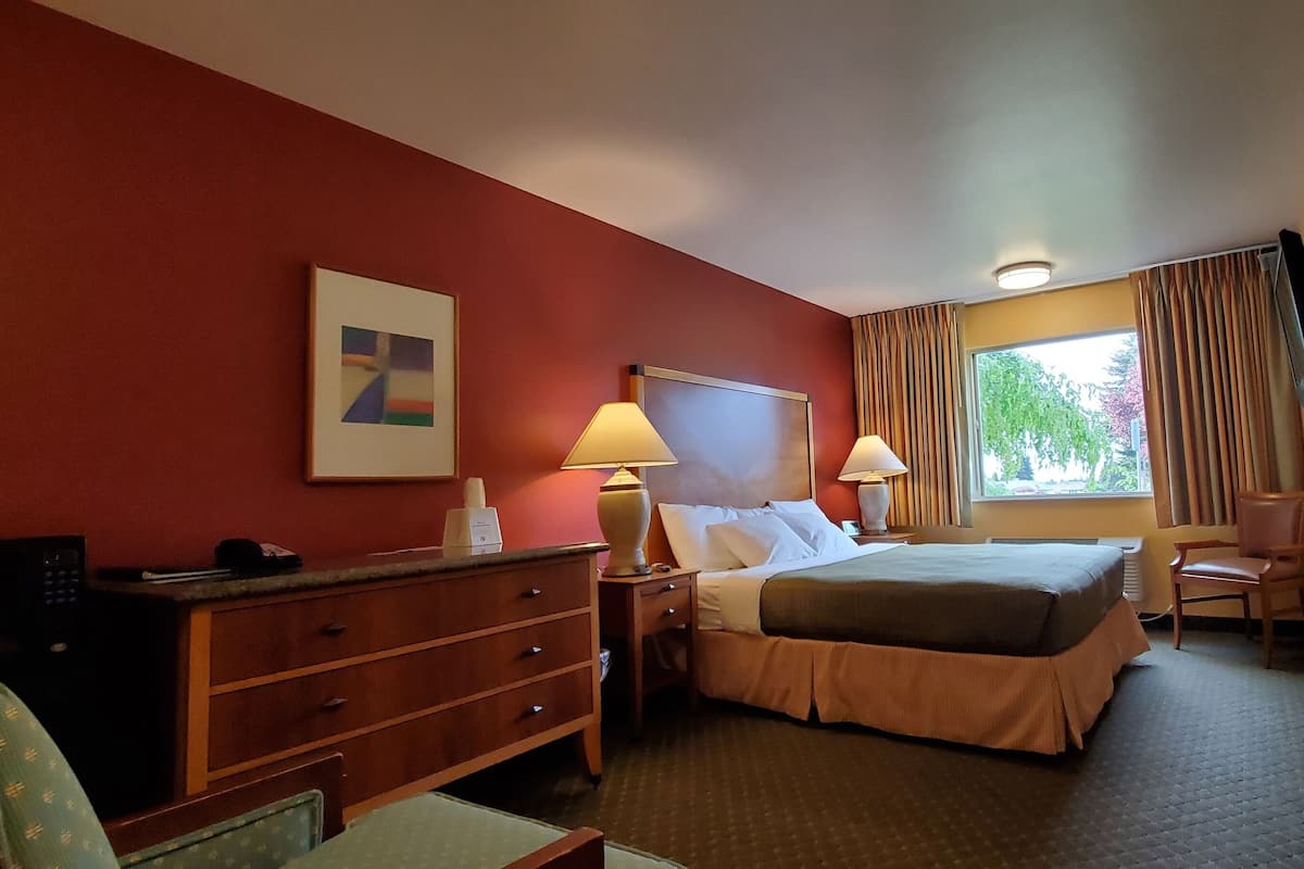 One King Deluxe (No Pets) | Soundproofing, iron/ironing board, rollaway beds, free WiFi