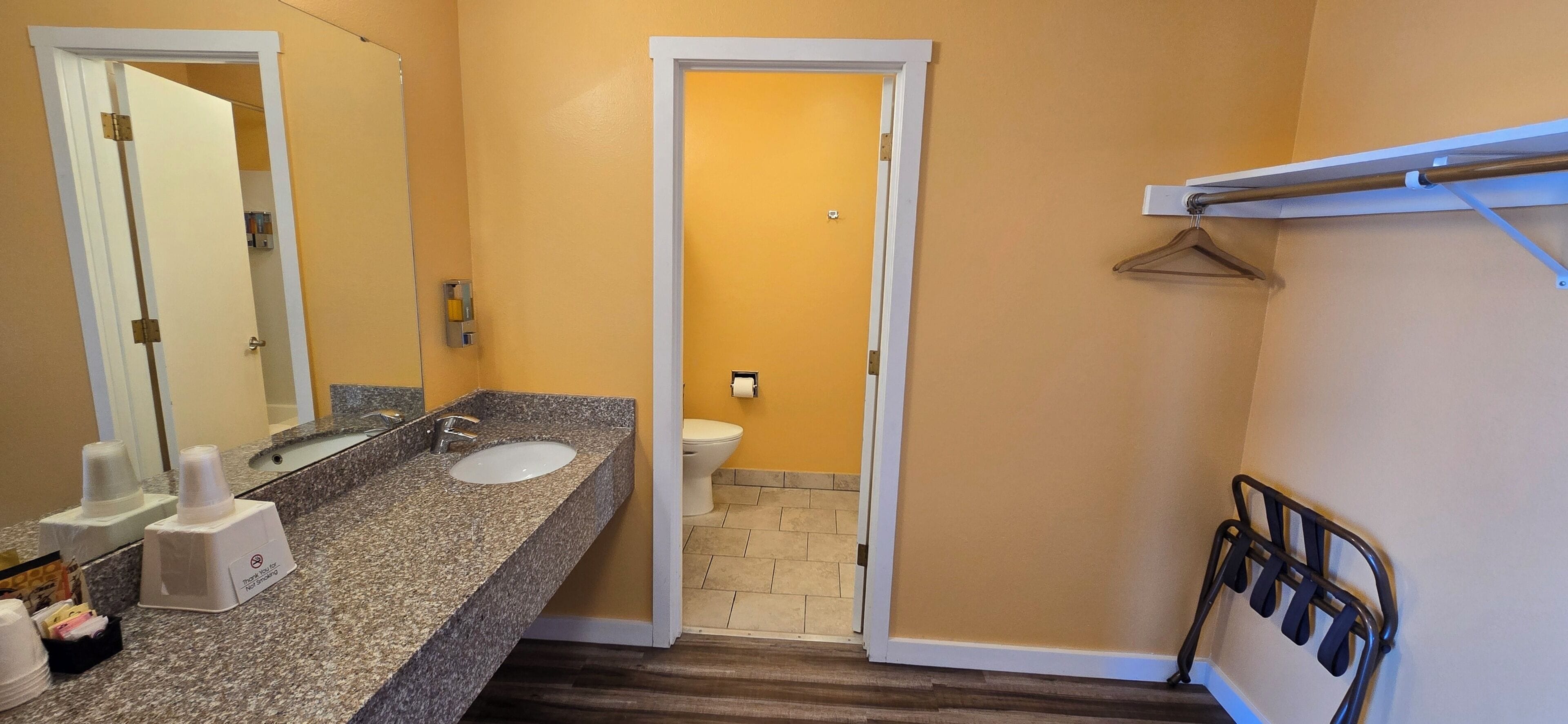 A bathroom with a sink, mirror, toilet, and shower area.