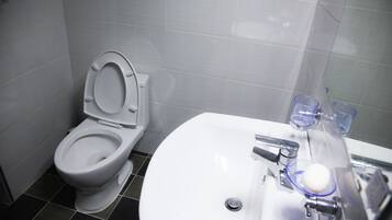 Shower, free toiletries, hair dryer, slippers