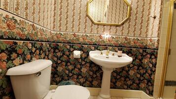 A bathroom with a toilet, sink, and mirror. The walls are decorated with floral wallpaper.