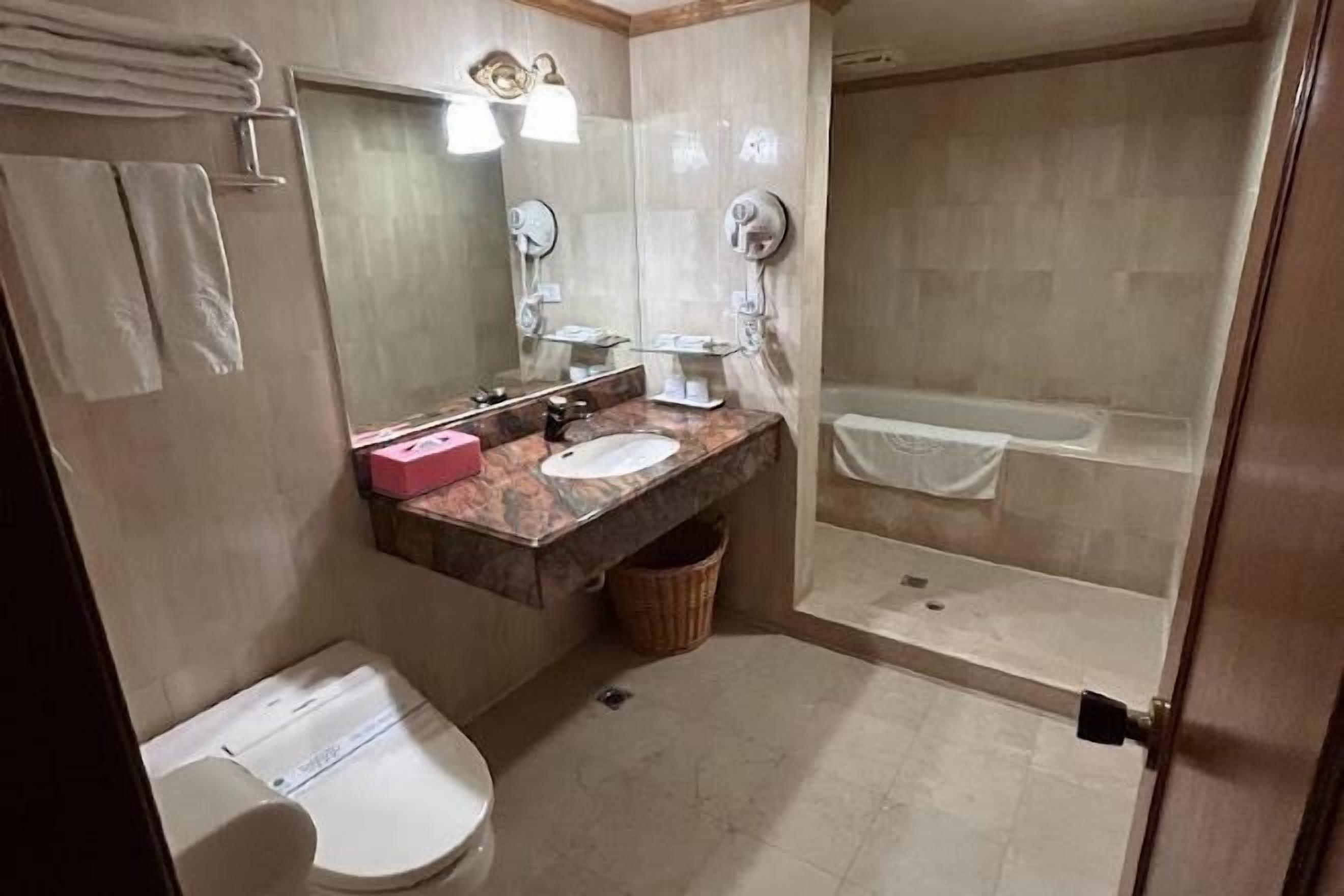 Combined shower/tub, deep soaking tub, hydromassage showerhead