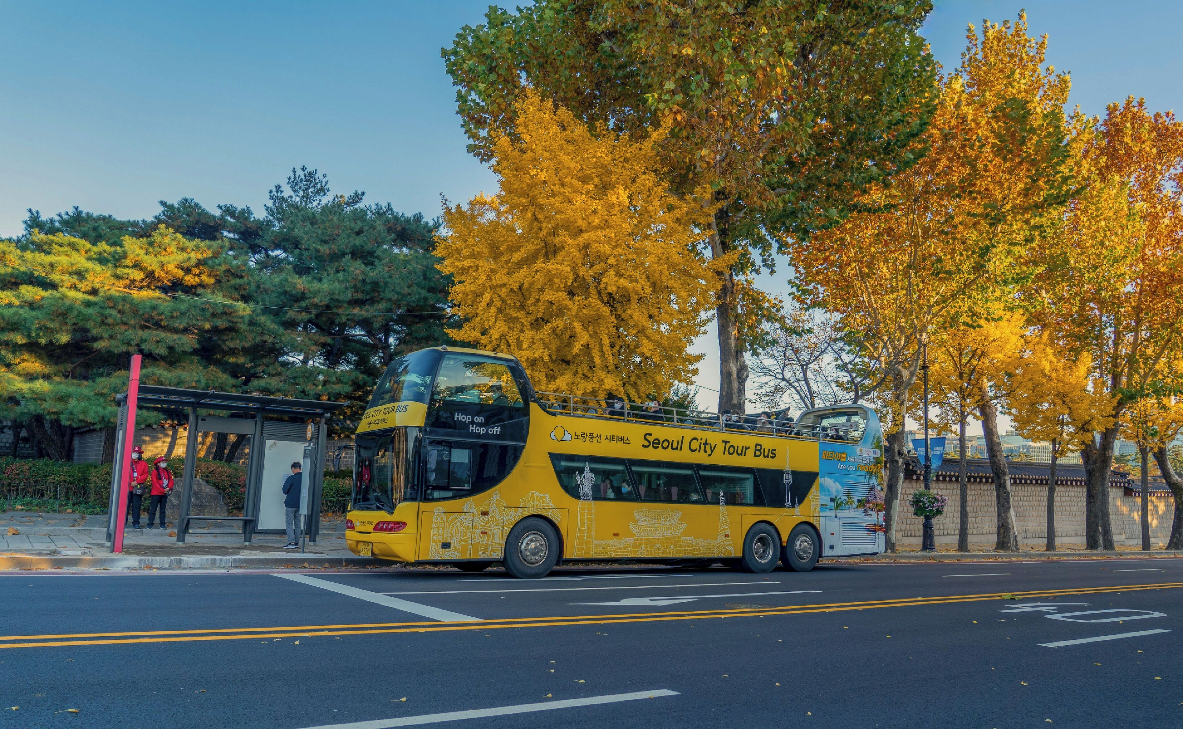 Premium bedding, down comforters, in-room safe, soundproofing