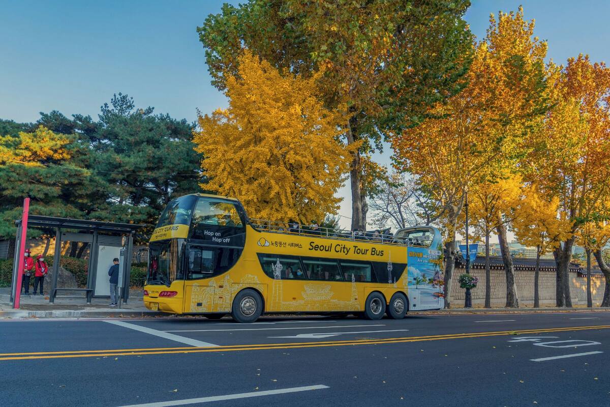 Un autobus à deux étages est arrêté à un arrêt de bus, avec des arbres aux couleurs automnales en arrière-plan.