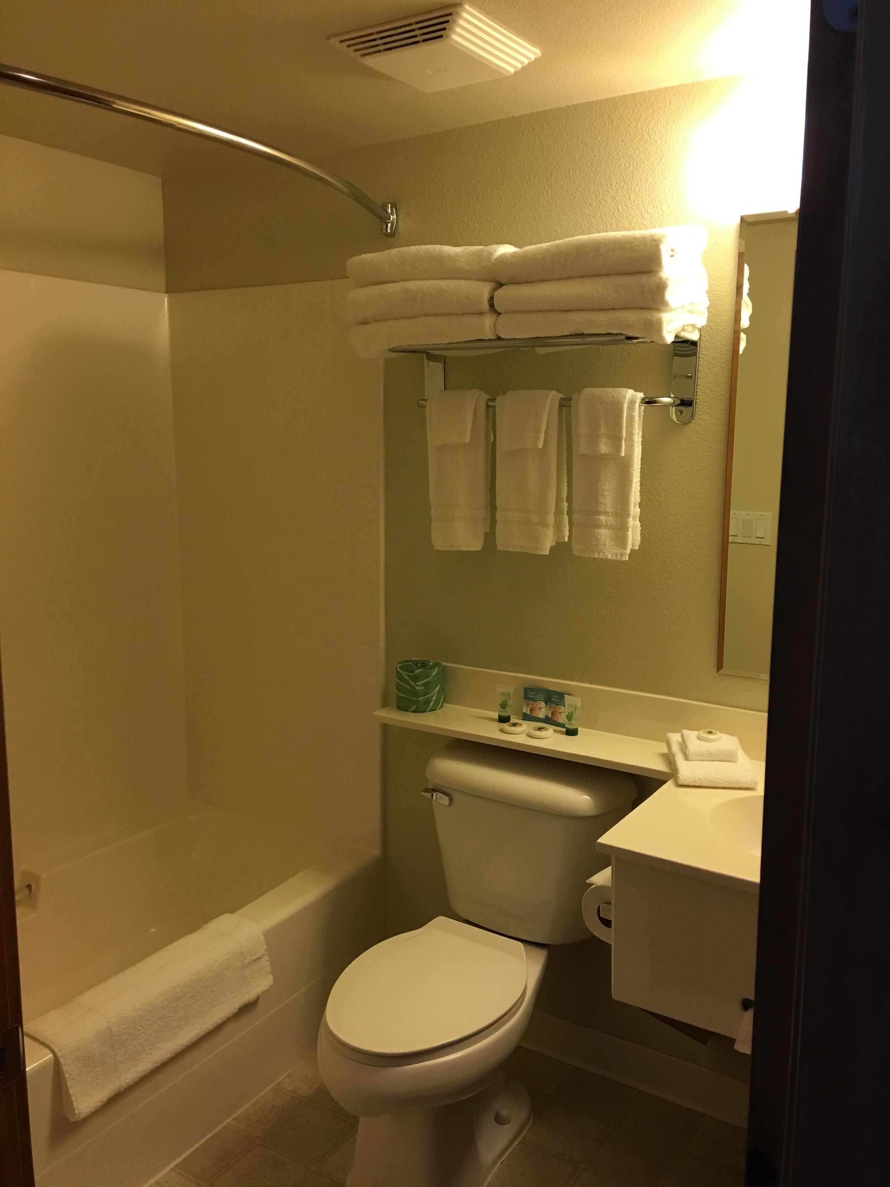 combined shower/bathtub, free toiletries, hair dryer, towels