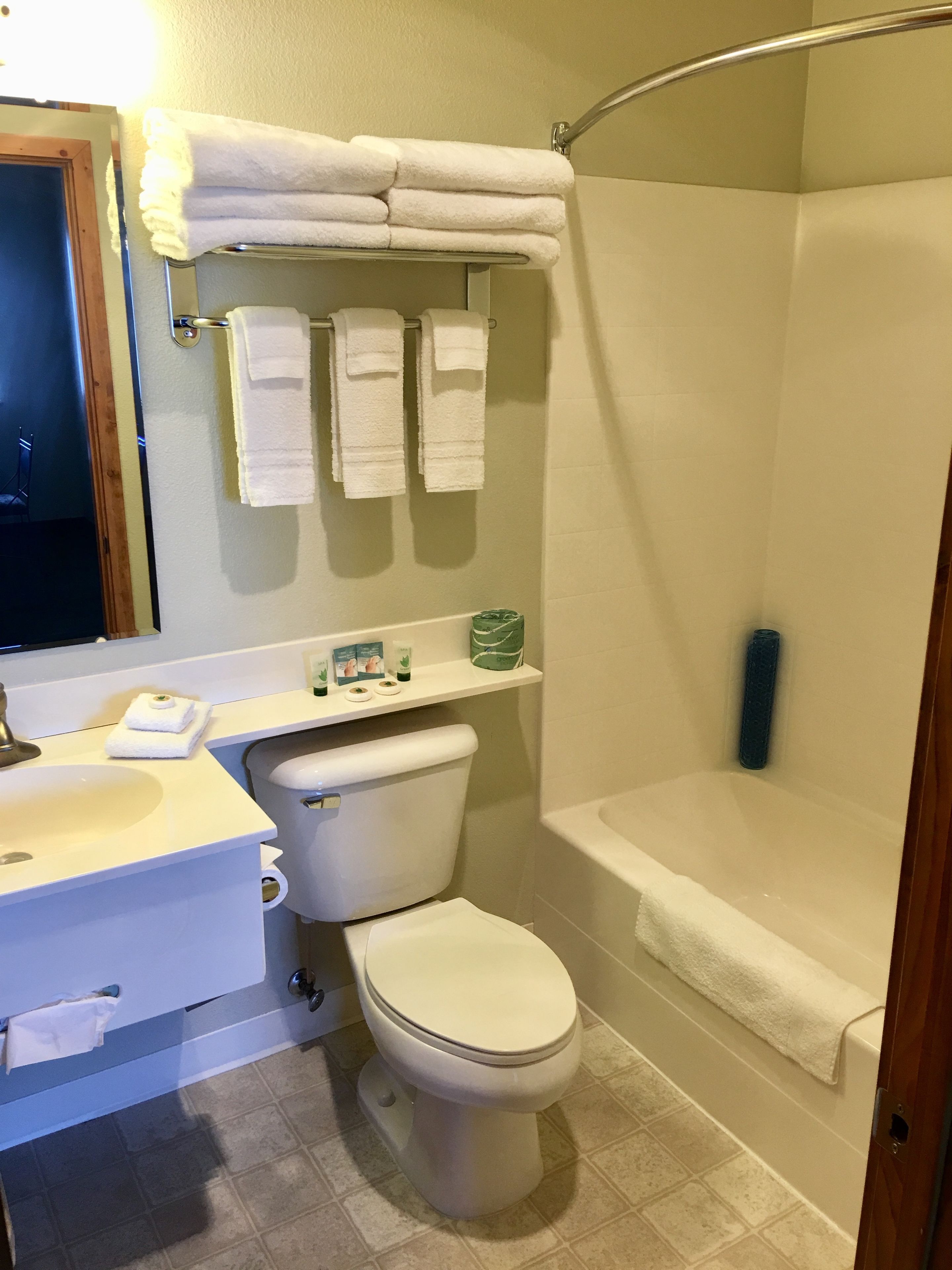 combined shower/bathtub, free toiletries, hair dryer, towels