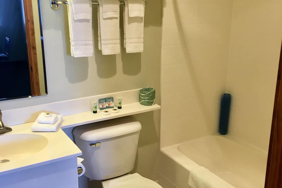 combined shower/bathtub, free toiletries, hair dryer, towels