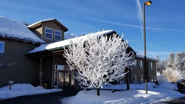 A building with a snow-covered roof and a tree in front. - Boulder Creek Inn (Donnelly)