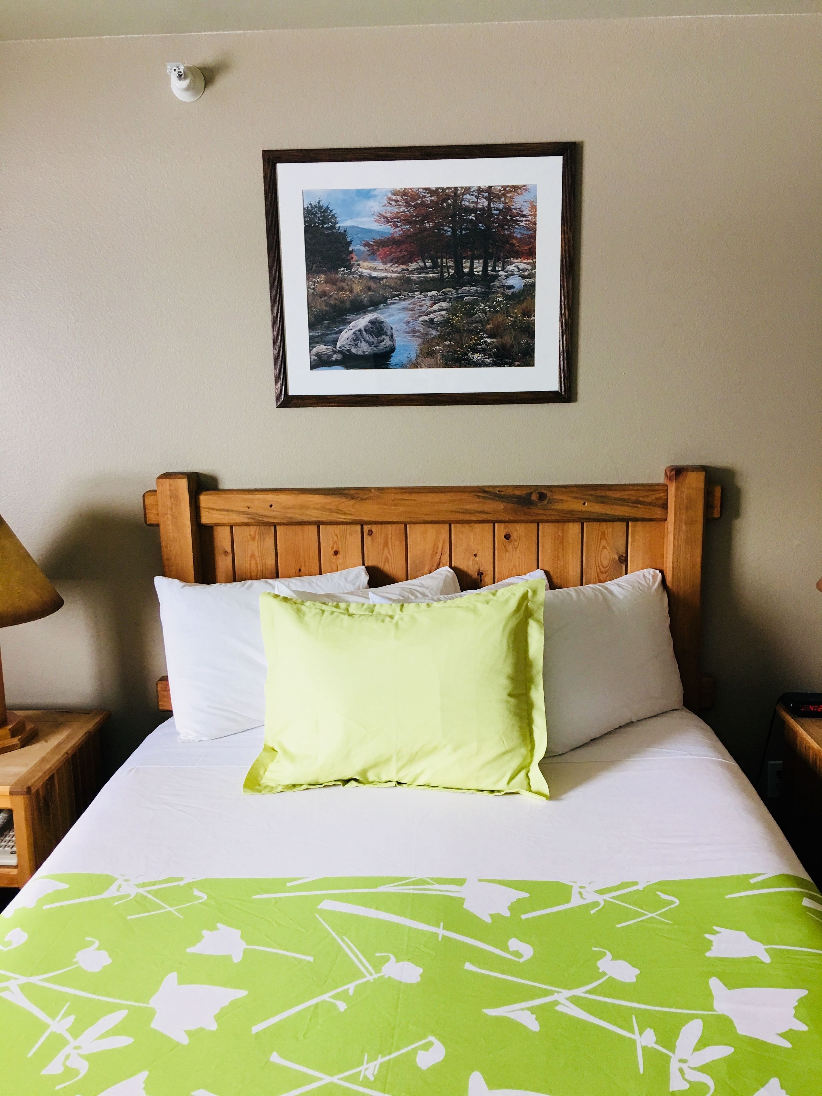 standard room, 1 queen bed | iron/ironing board, free wifi, wheelchair access