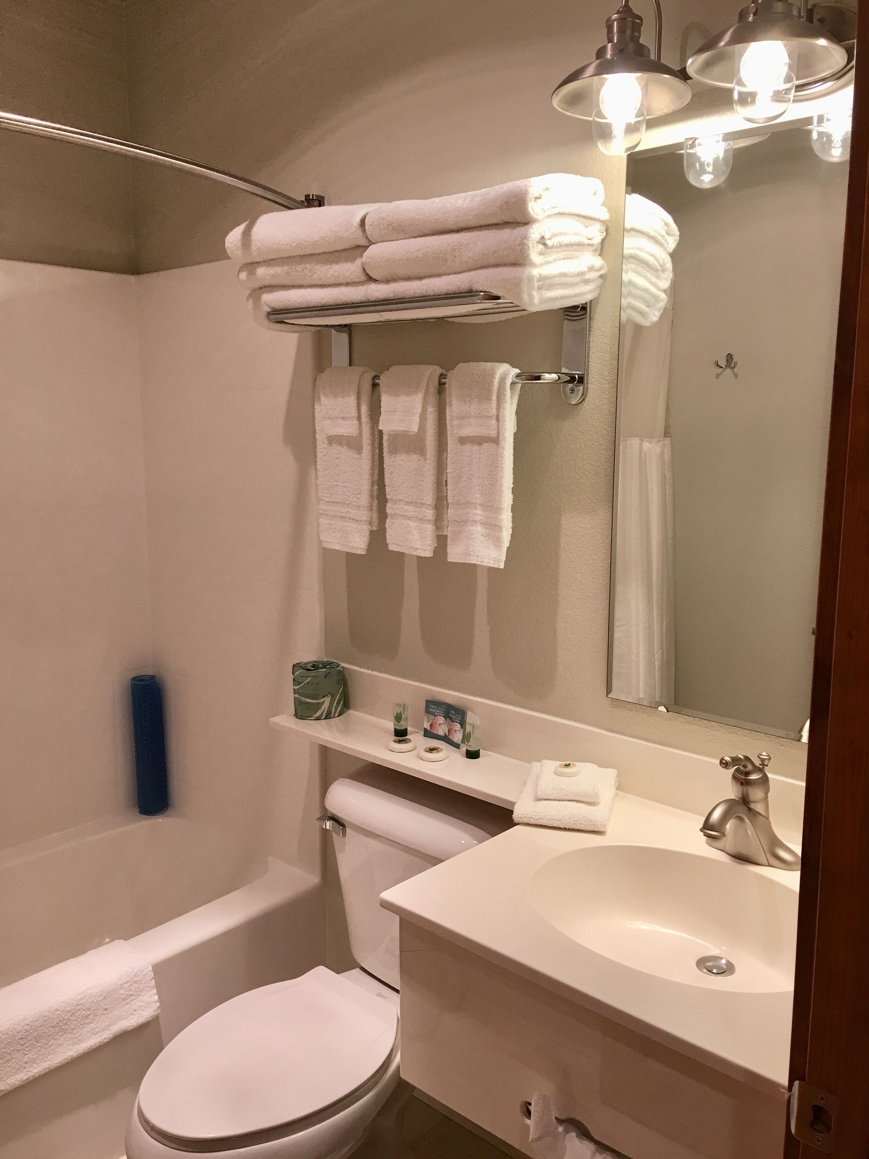 combined shower/bathtub, free toiletries, hair dryer, towels