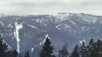 Un paisaje montañoso con picos nevados y densos bosques.