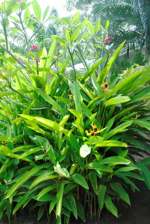 Garden - Baan Sawan Samui Resort (Koh Samui)