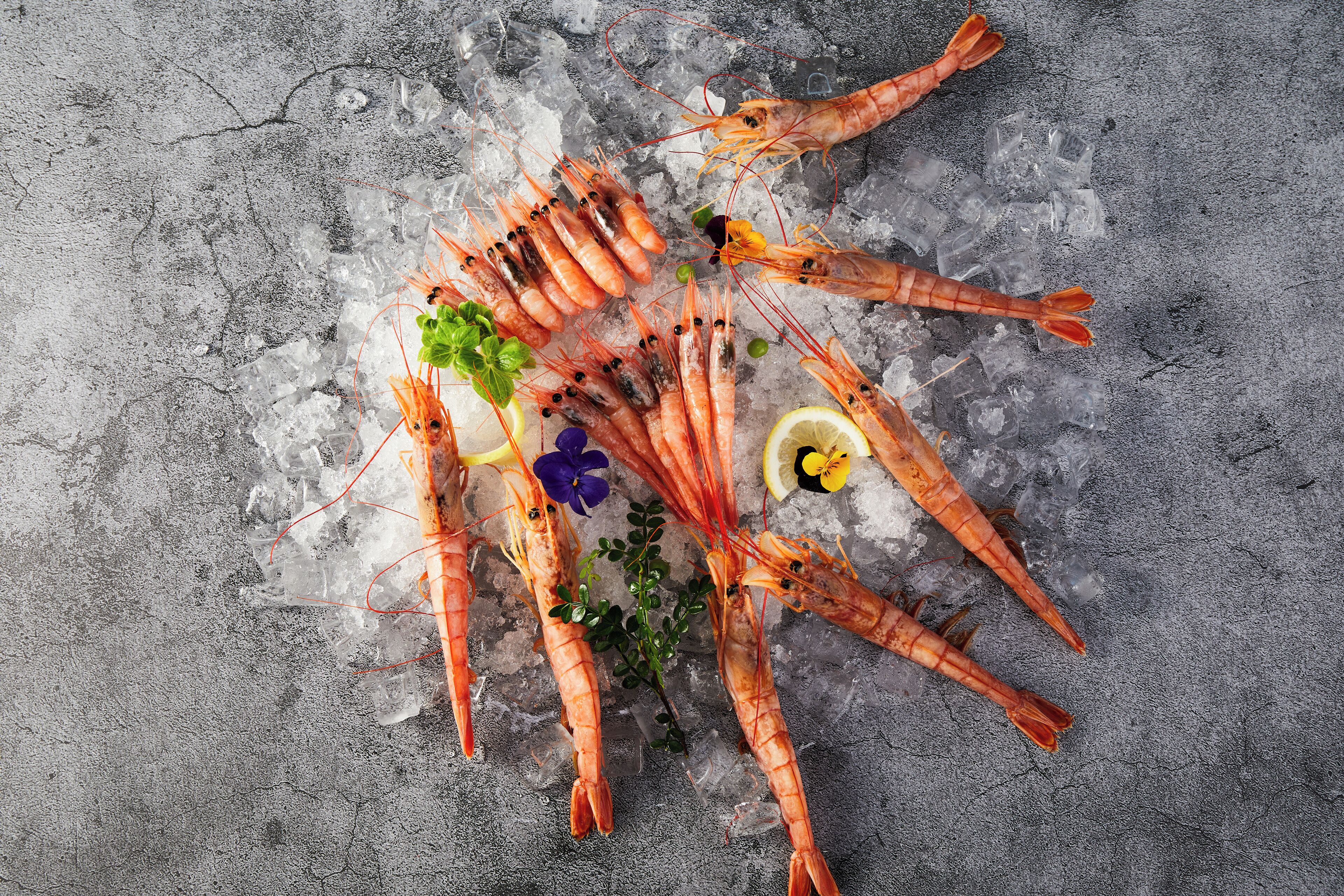 A seafood platter with shrimp on ice, garnished with herbs and lemon slices.