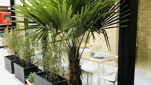 Een potpalm in een grote plantenbak voor een modern gebouw met grote ramen en een glazen deur.