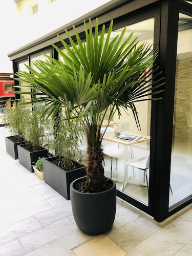 Hotel Marmotel Etoile