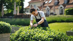 A person tending to a garden with a house in the background.