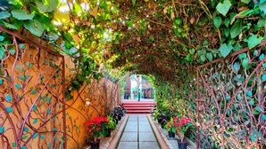 A narrow pathway flanked by lush greenery and a metal fence, leading to a building entrance. - La Vie Woods (Calangute)