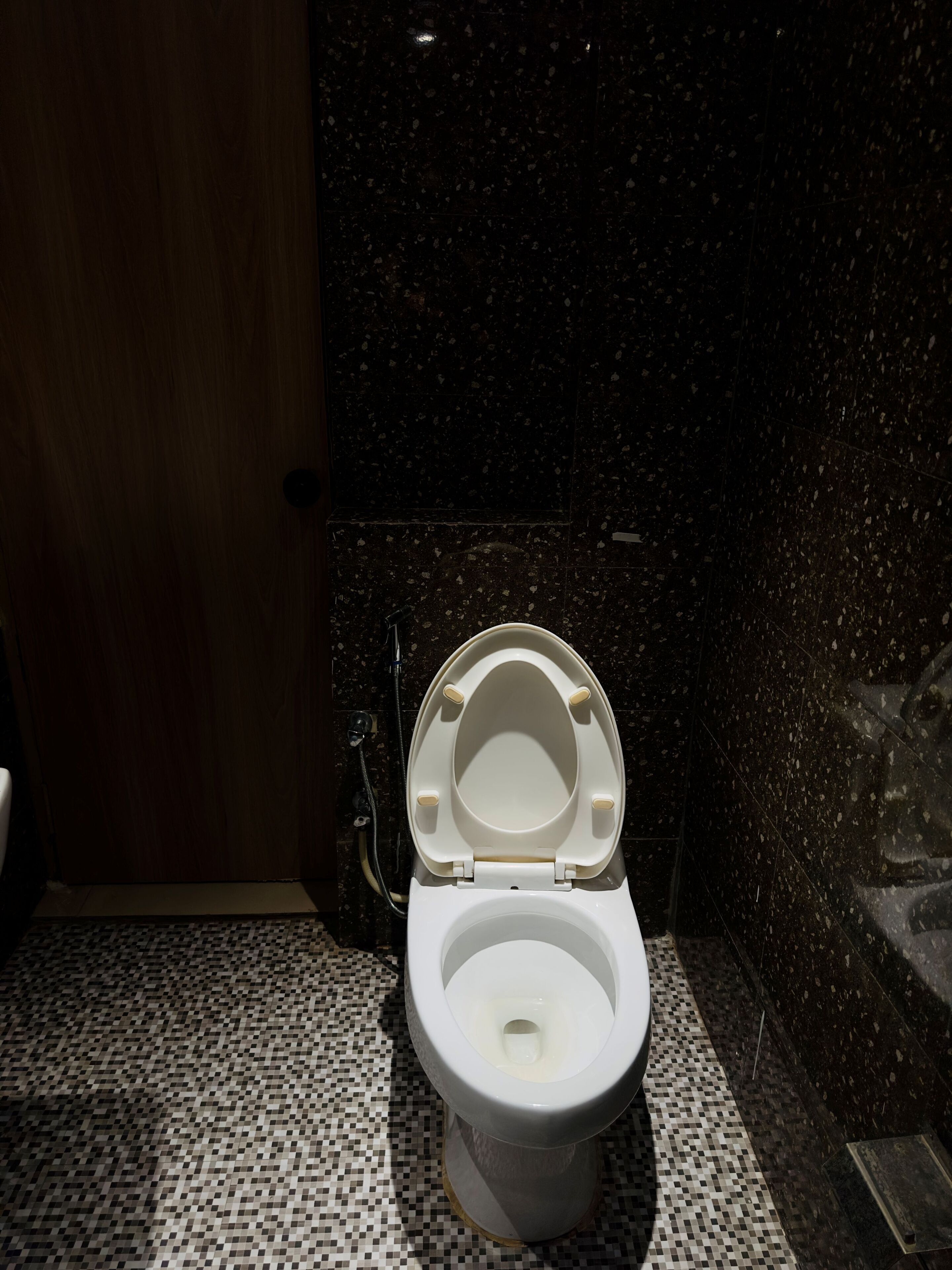 A toilet with a closed lid in a bathroom with a tiled floor and a dark speckled wall.
