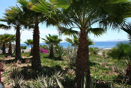 Hotel Santantao Art Resort