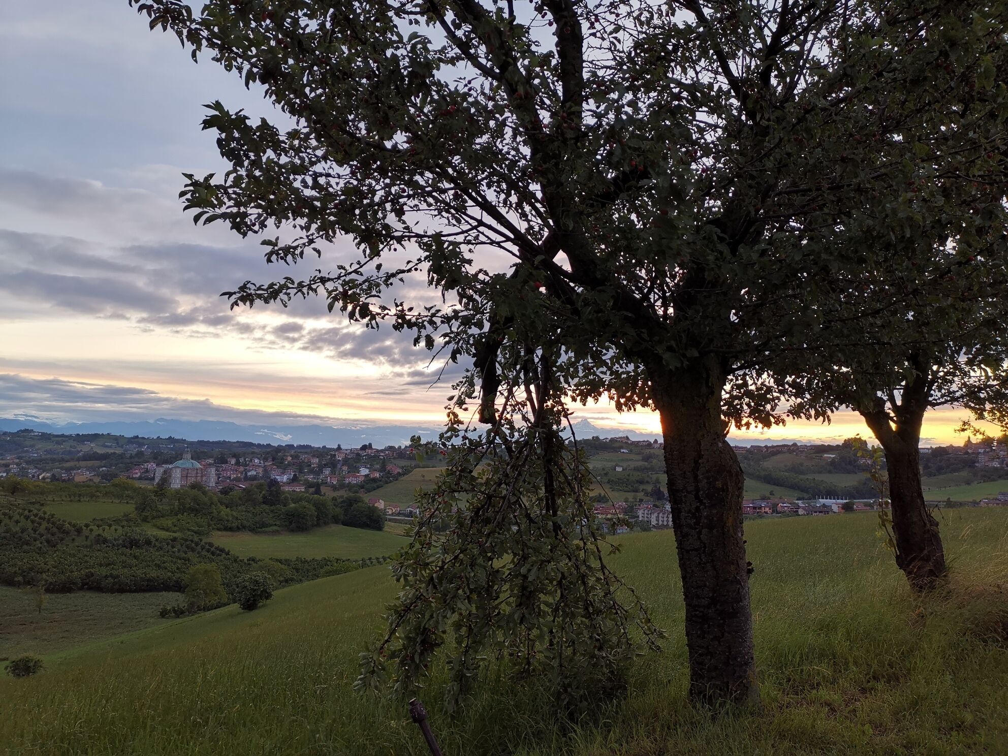 Una colina bordeada de árboles con vistas a un pueblo en la distancia.