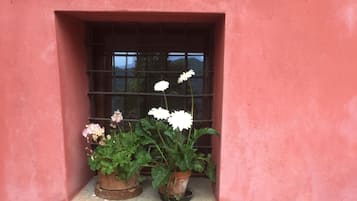 A window with three potted plants and a bicycle wheel.