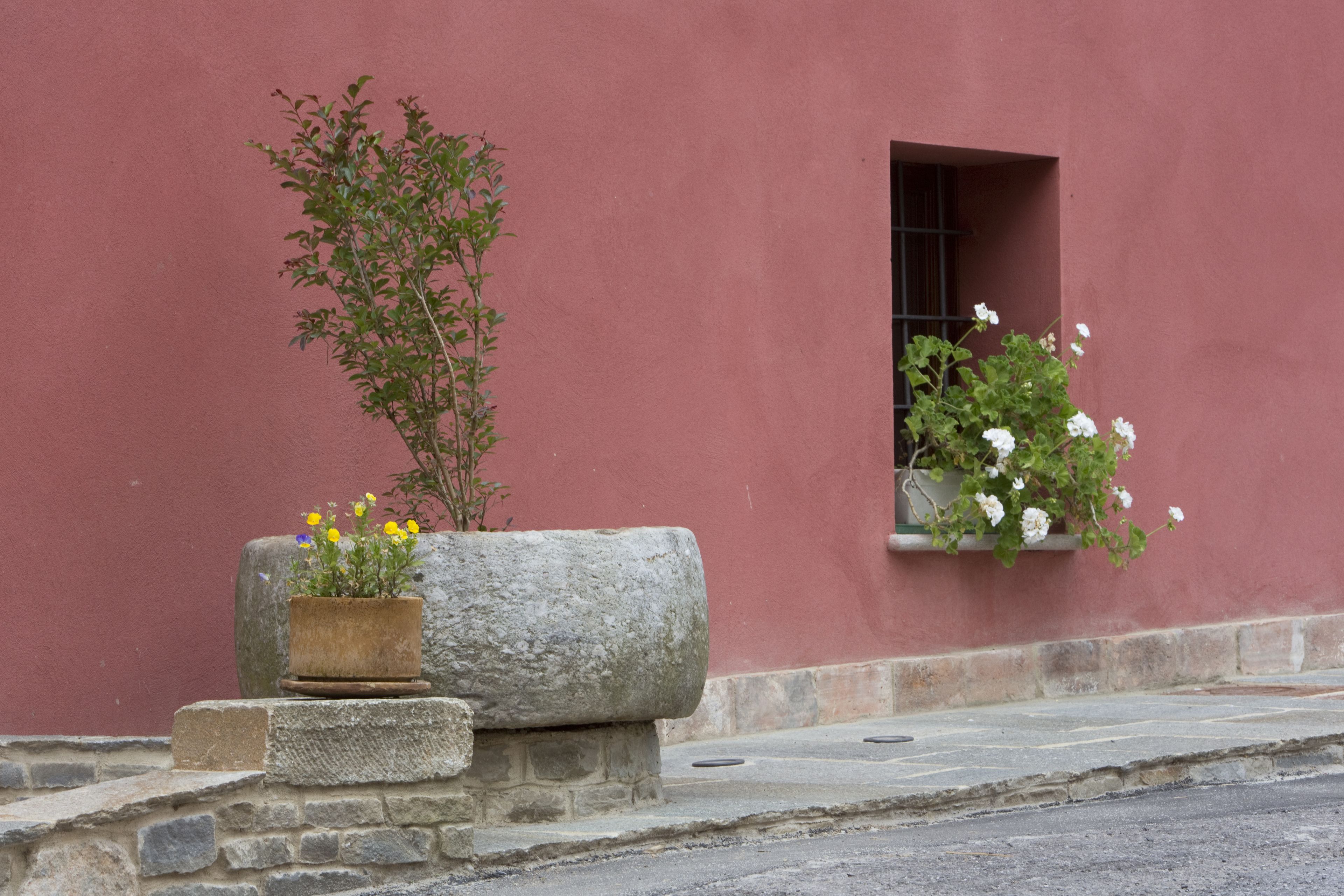 A stone planter with yellow flowers and a potted plant with white flowers against a red wall.