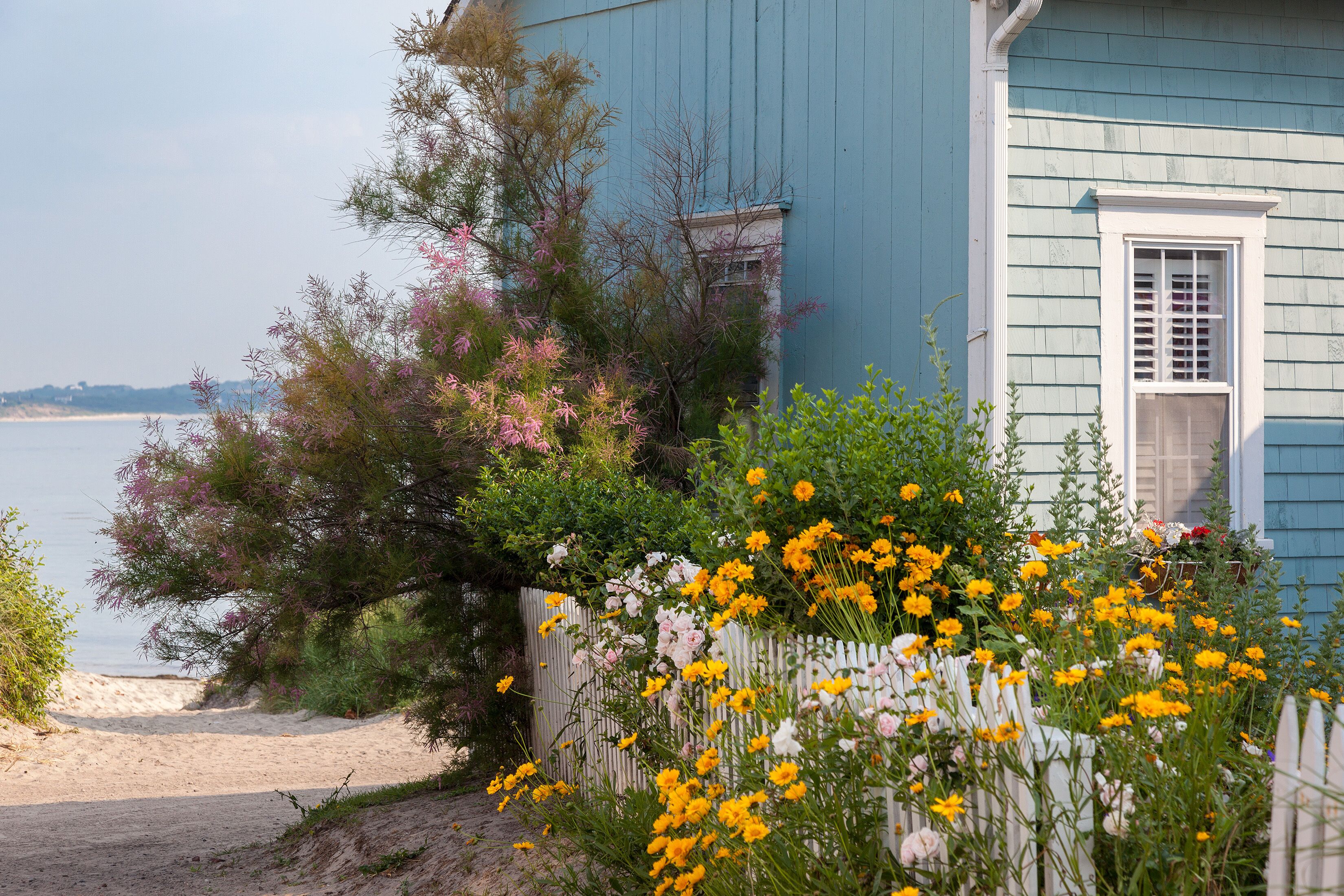A coastal house with a sandy beach, a white picket fence, and a variety of flowering plants.