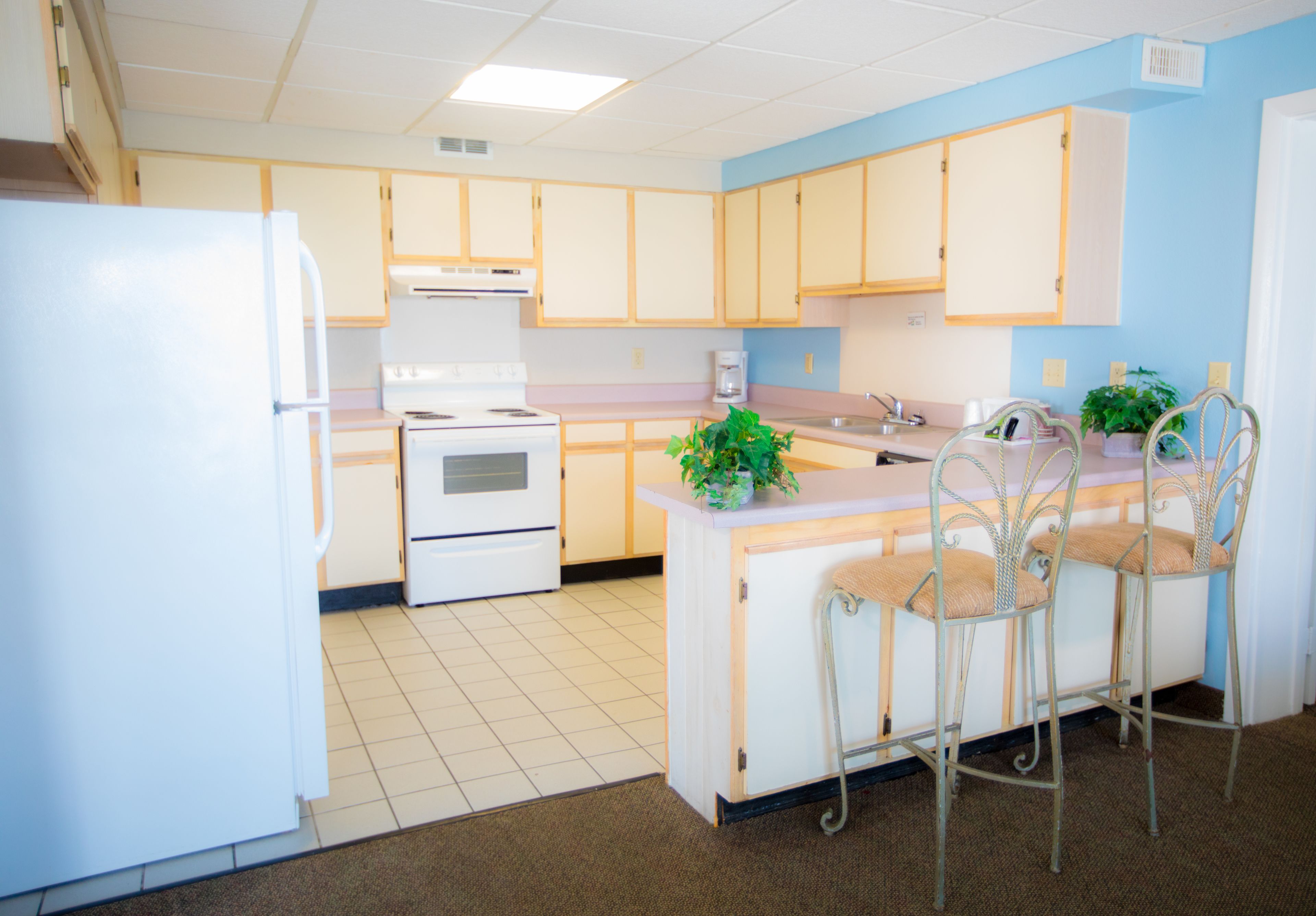 Foto - Tropical Seas Hotel