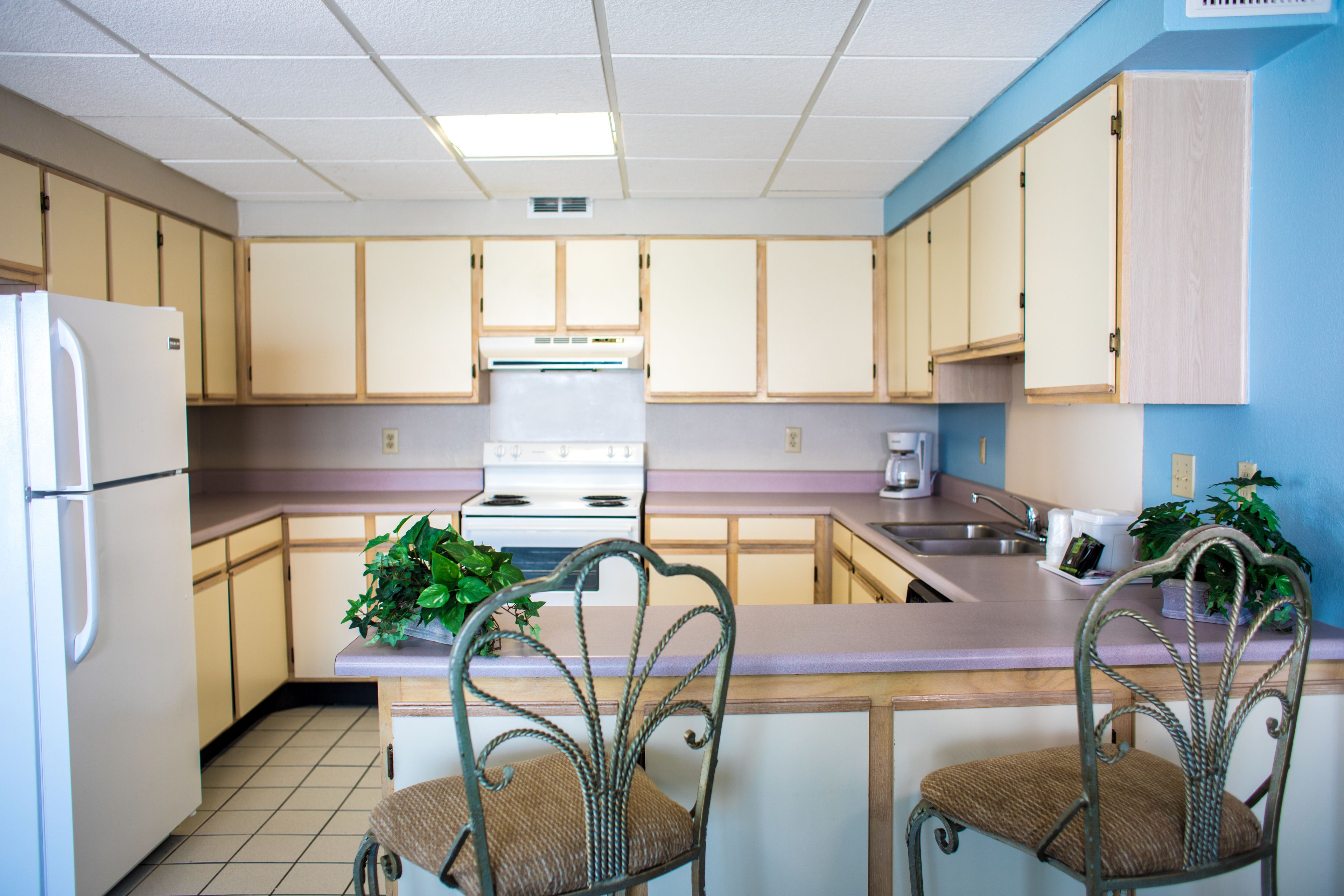 Foto - Tropical Seas Hotel