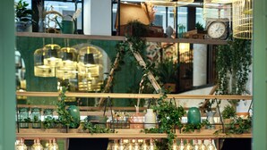 Ein Restaurant mit modernem Interieur, mit gelben Stühlen, verschiedenen Pflanzen und hängenden Lampen.