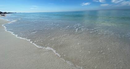 Tropical Breeze Beach Club