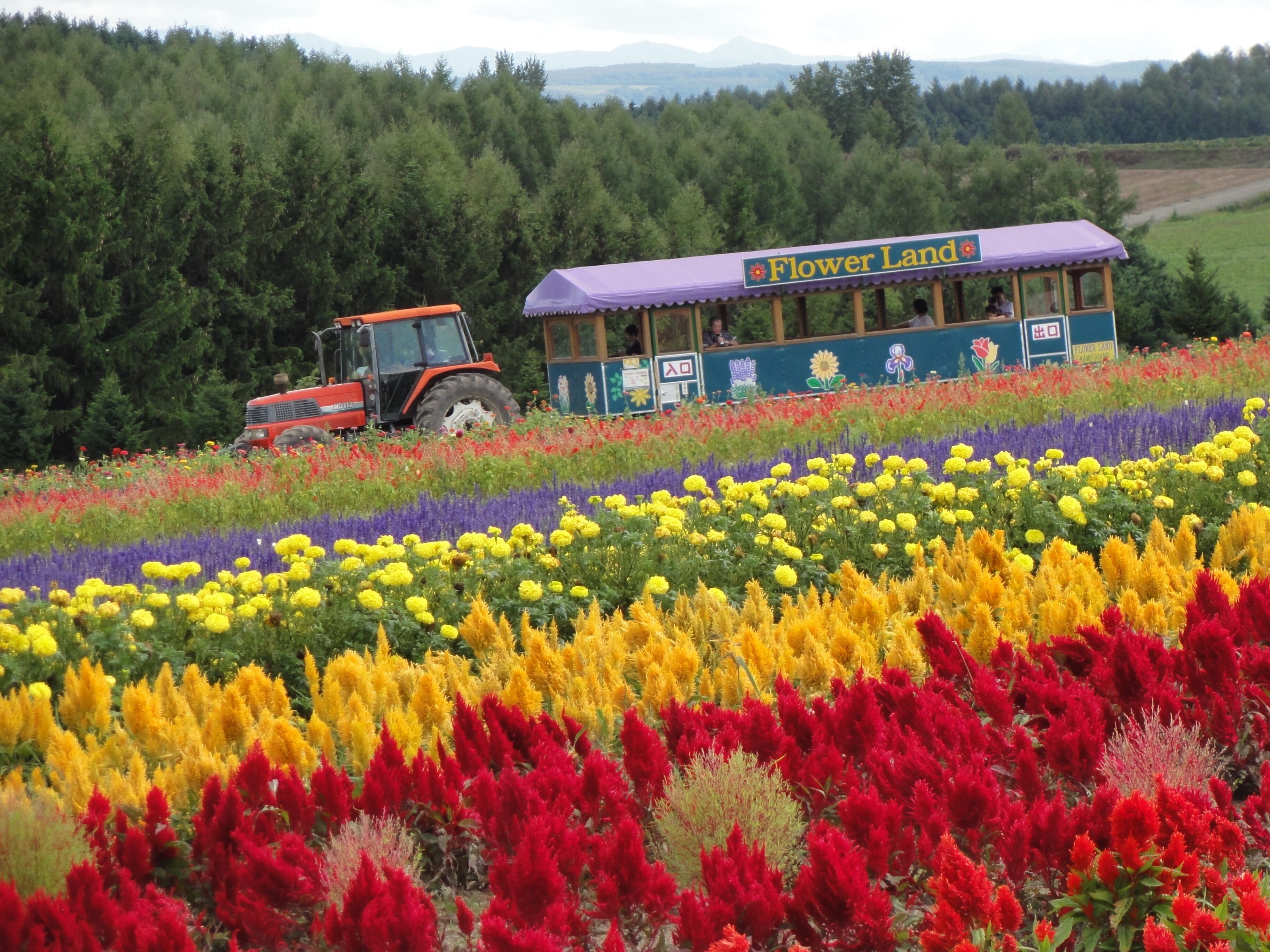 land view from property
