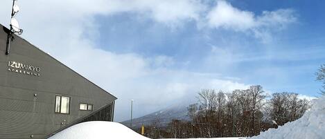 Individually decorated, individually furnished, free WiFi, bed sheets