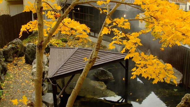A tranquil garden with a pond, surrounded by rocks and autumn leaves. - Niseko Annupuri Onsen Yugokorotei (Niseko)