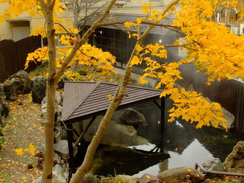 Niseko Annupuri Onsen Yugokorotei