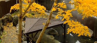 Niseko Annupuri Onsen Yugokorotei