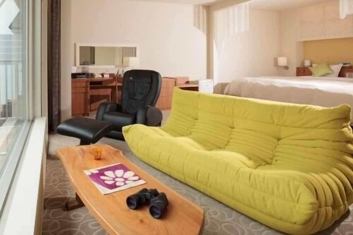 Una habitación de hotel con una cama, un sofá verde, una mesa de madera con binoculares, un escritorio y una silla.