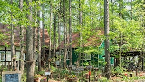A forested area with a building that has a red roof and green walls. There are signs in a foreign language, wooden benches, and potted plants.