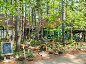 Property grounds - The squirrel's guesthouse Canterbury (Nakasatsunai)