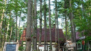 A rustic building surrounded by tall trees, with a sign indicating it is open.